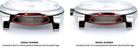 rolex case serial numbers.